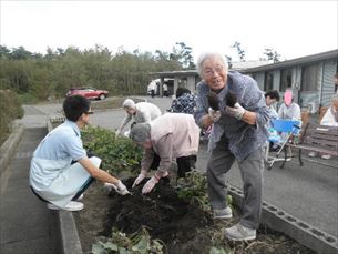 歌体操