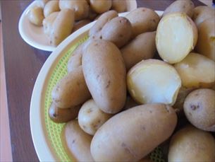 折り紙教室